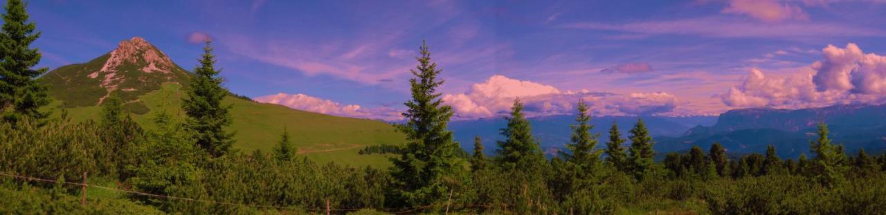 Hotel Garni Salvanel Кавалезе Екстер'єр фото